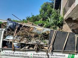 Best Hoarding Cleanup  in Hoisington, KS